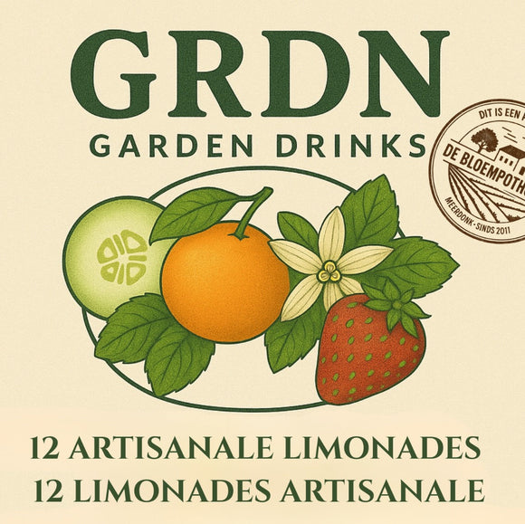 12 artisanale limonades