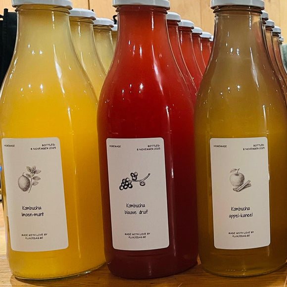 Kombucha - Appel kaneel