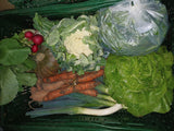 Groentenpakket groot