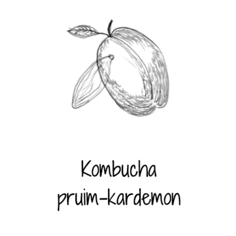 Kombucha - Pruim kardemon