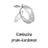 Kombucha - Pruim kardemon