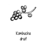 Kombucha - Witte wijn druif