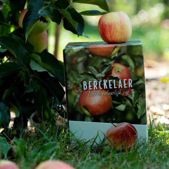 Berckelaer BAG IN BOX  appelsap