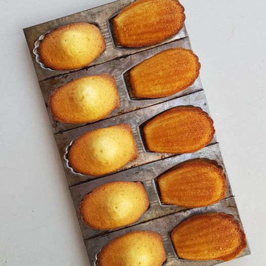 Wase Madeleinekes